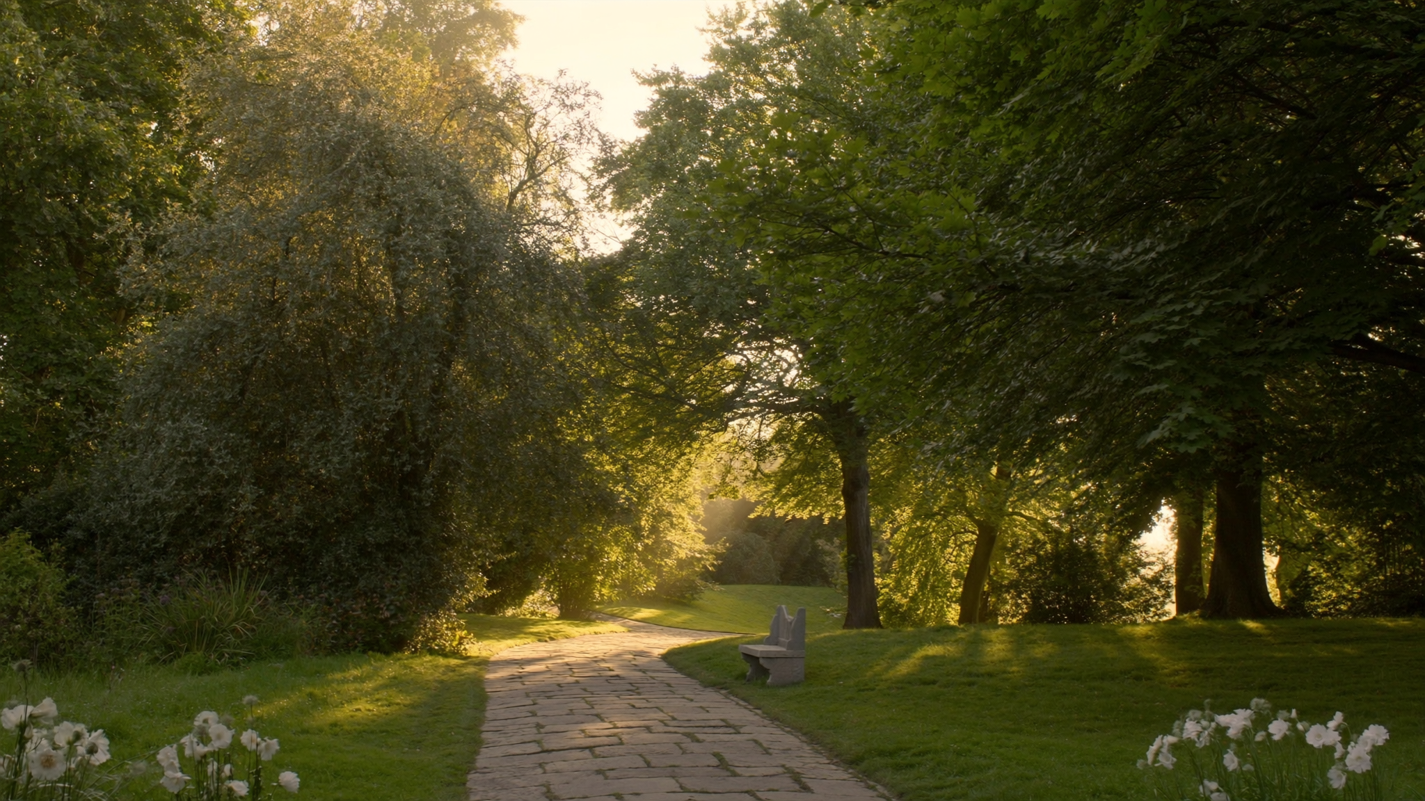 A peaceful garden path lined with greenery, leading toward soft light