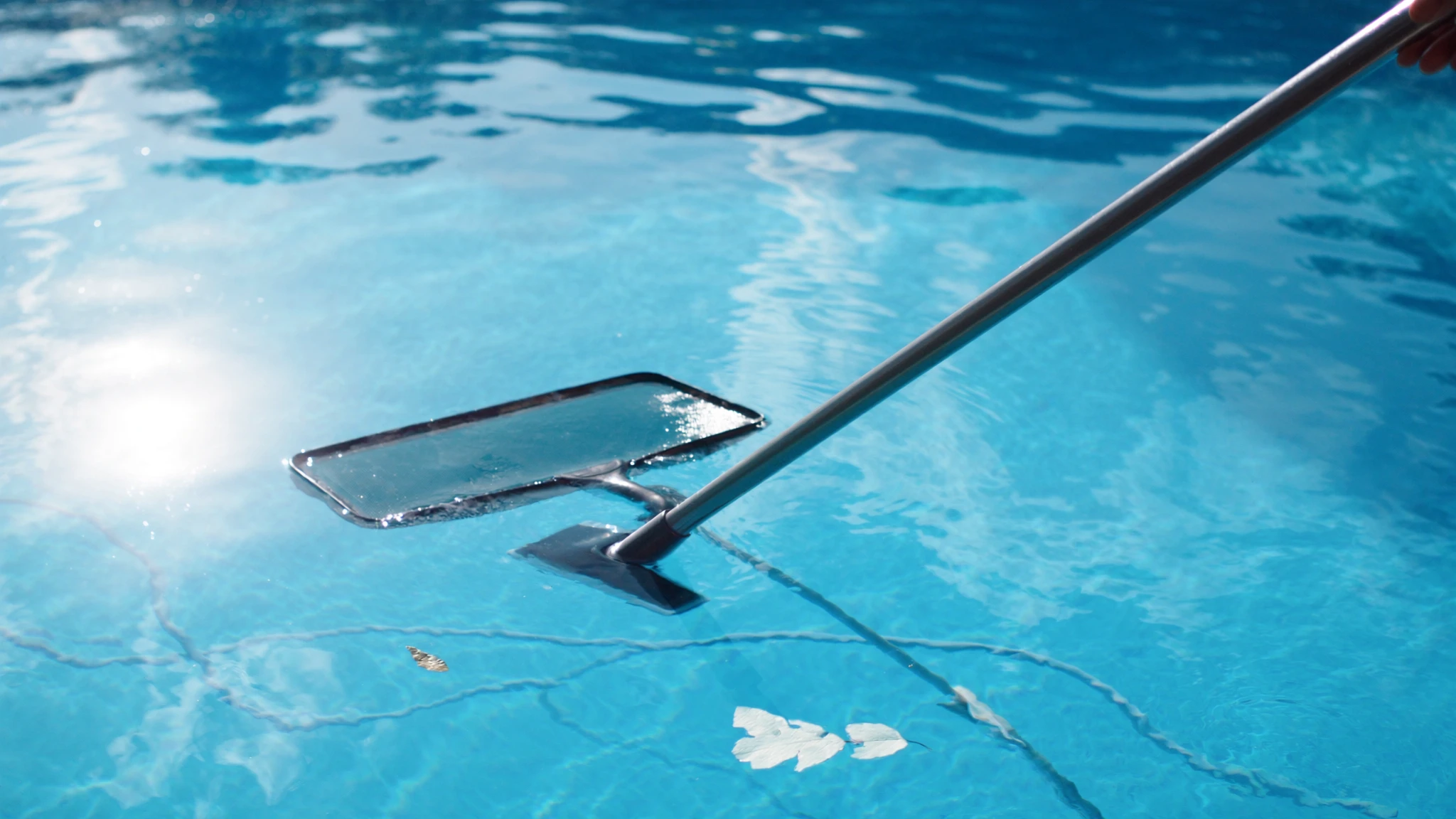Pool skimmer net gliding across clear blue water to remove surface debris